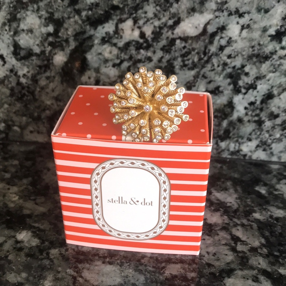 Stella & Dot statement ring!